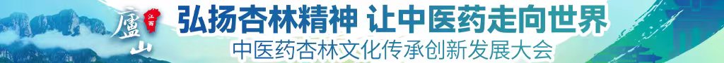 日本人操逼片中医药杏林文化传承创新发展大会